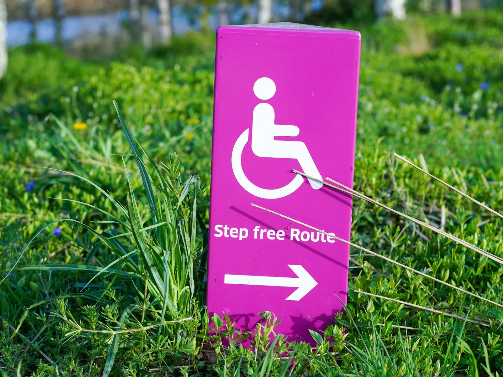 Accessibility sign pointing to a step-free route.