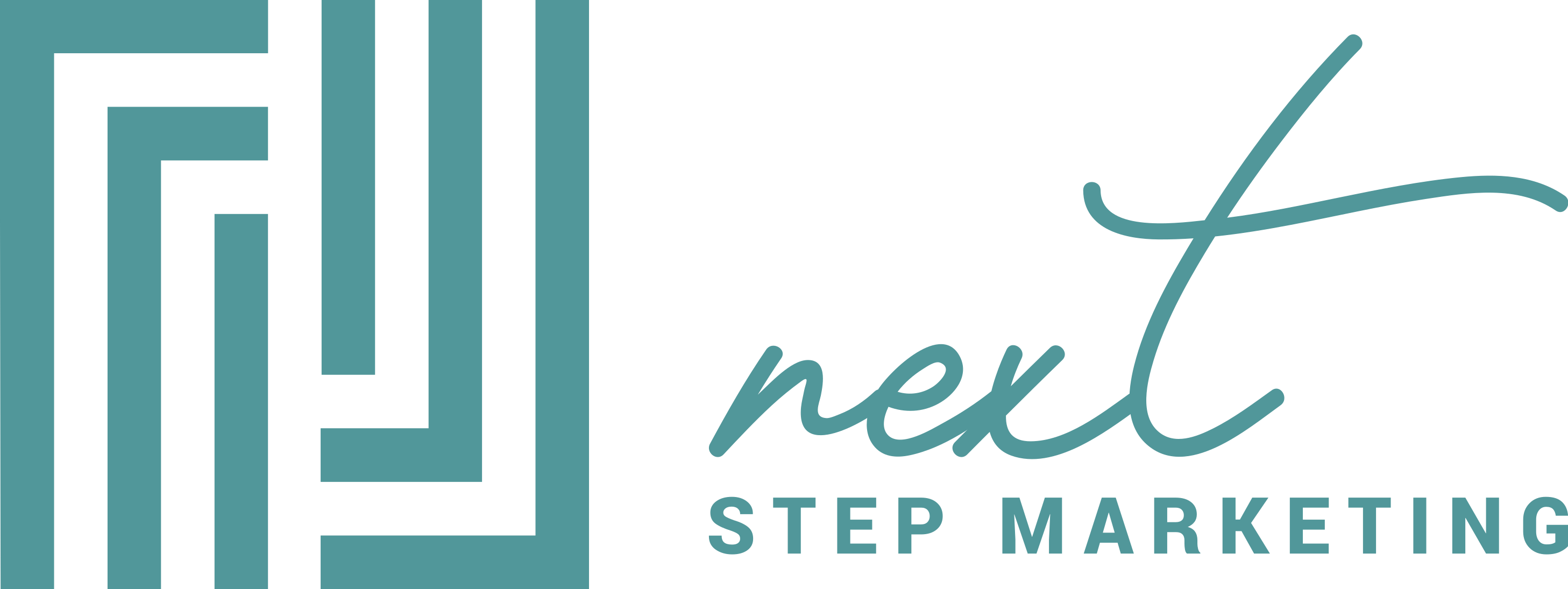 Next Step Marketing